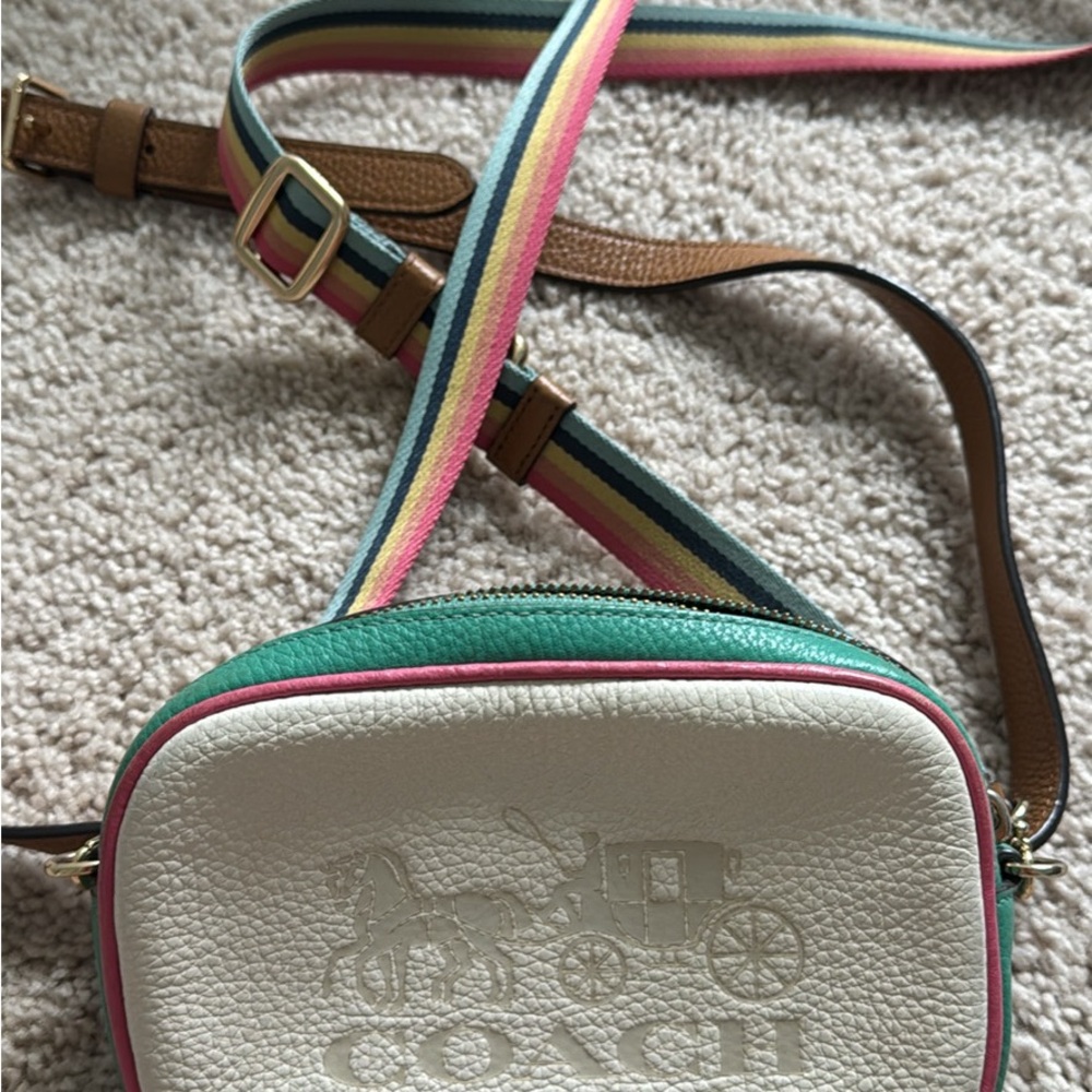 Coach belt bag